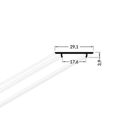 Kuva MONI30-10 ISO profiilien kannesta, mitat 29,1 x 17,6 x 3,9 mm, käytettävä riippuvalaisimen kansi.